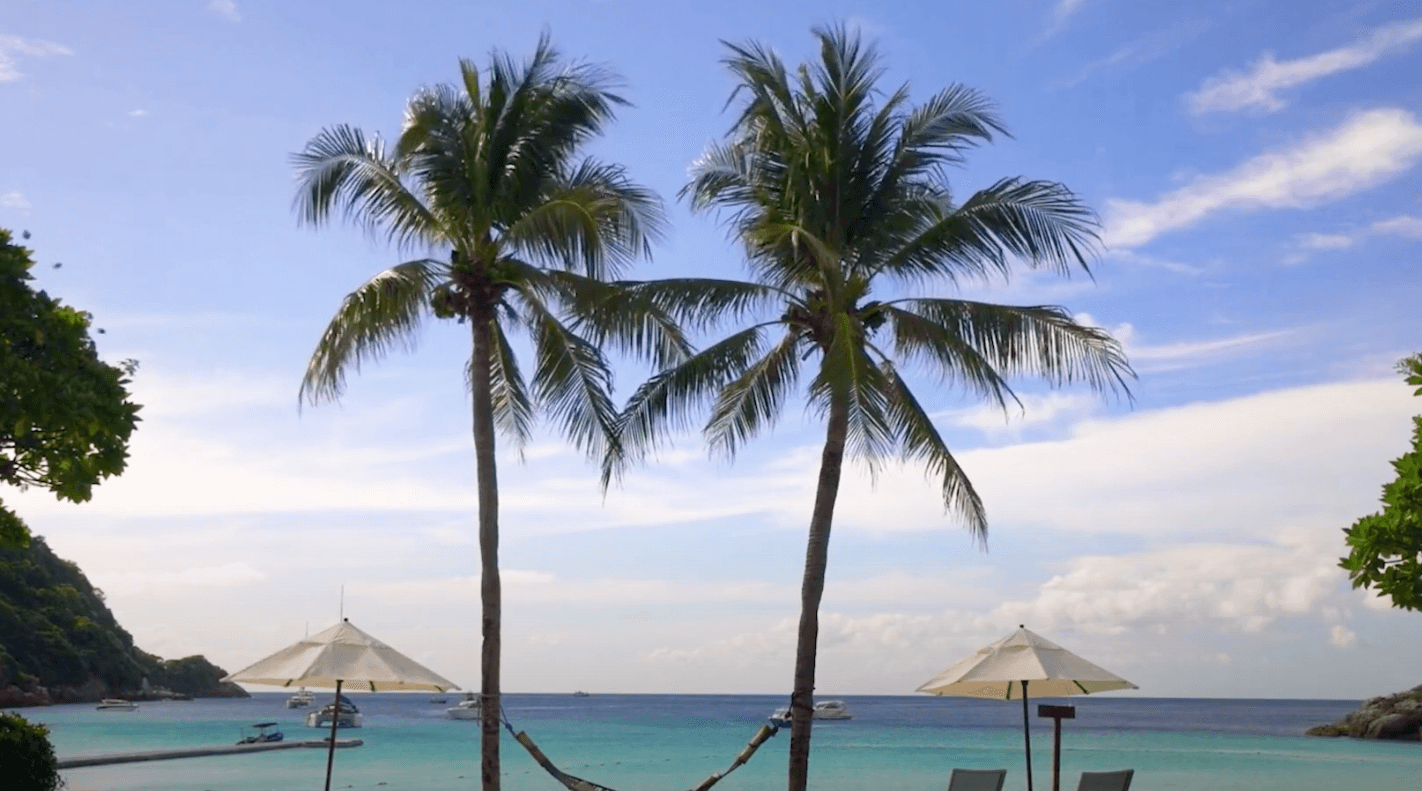 Downtown Melbourne Palm Bay Limo Service